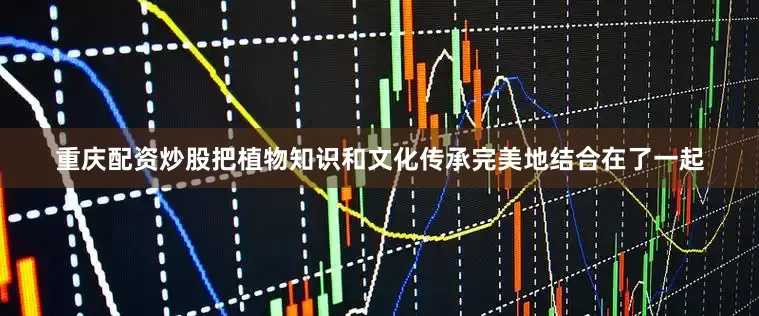 重庆配资炒股把植物知识和文化传承完美地结合在了一起