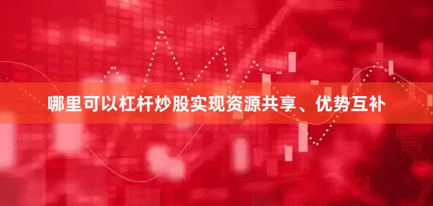 哪里可以杠杆炒股实现资源共享、优势互补