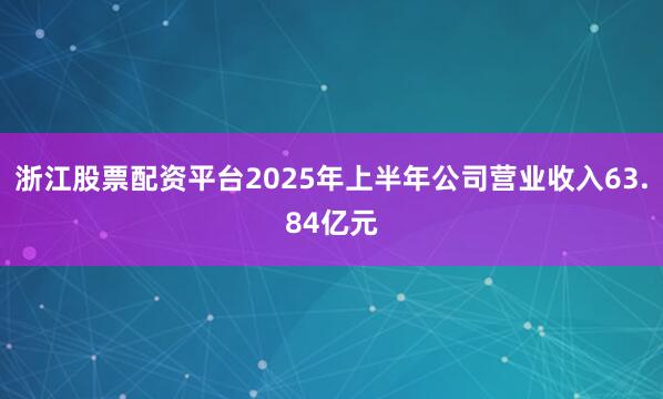 浙江股票配资平台2025年上半年公司营业收入63.84亿元