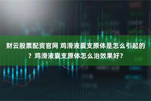财云股票配资官网 鸡滑液囊支原体是怎么引起的？鸡滑液囊支原体怎么治效果好？